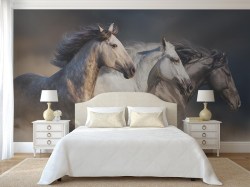 Fotobehang met prachtige paarden slaapkamer